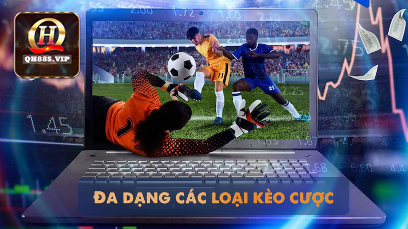 Đa dạng các loại kèo cá cược tại sân chơi thể thao QH88