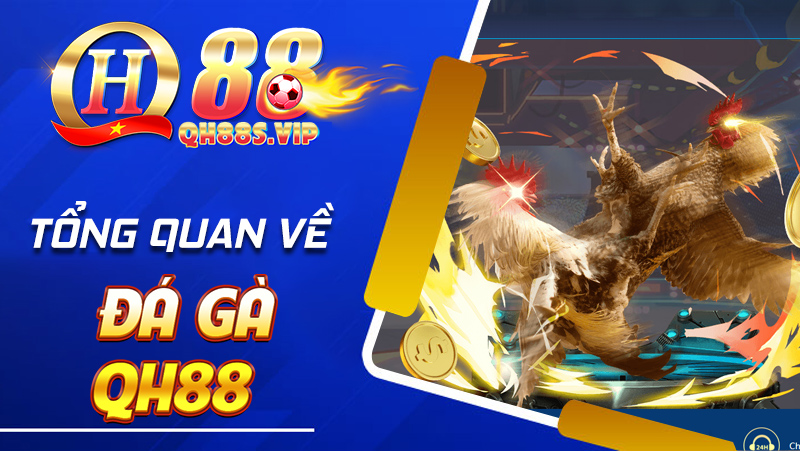 Sảnh đá gà Qh88 đẳng cấp nhất hiện nay