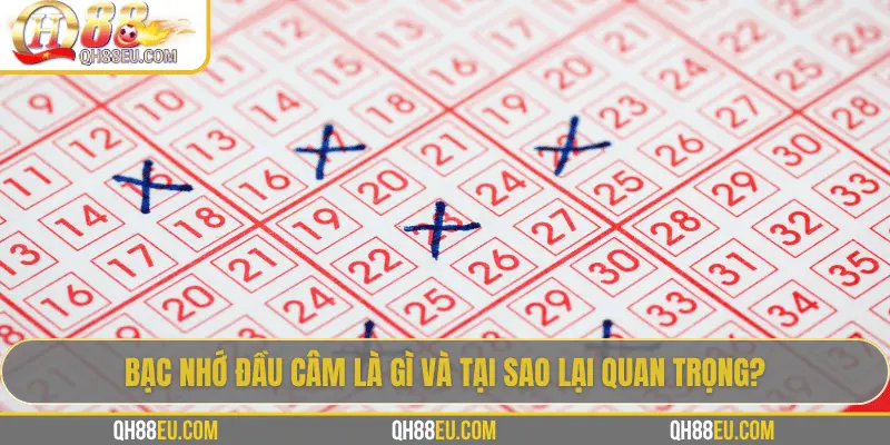 Bạc nhớ đầu câm là gì và tại sao lại quan trọng?