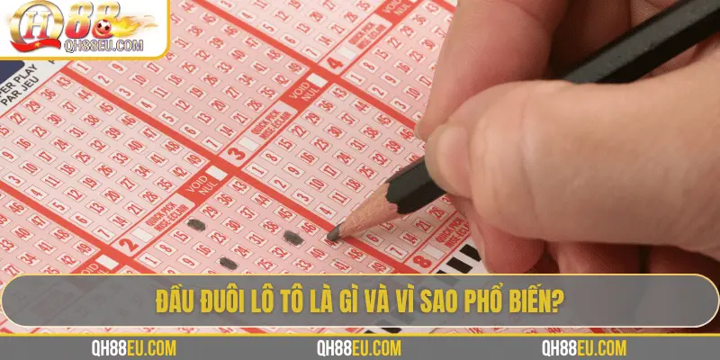 Đầu đuôi lô tô là gì và vì sao phổ biến?
